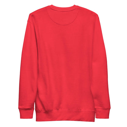 Team Red MOEBEER sweatshirt featuring colorful abstract art and Sabr Arabic calligraphy. #Team Red